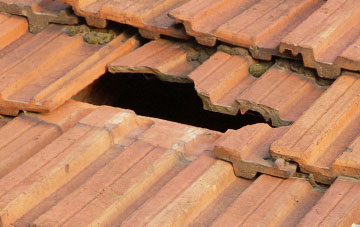 roof repair Taddiport, Devon