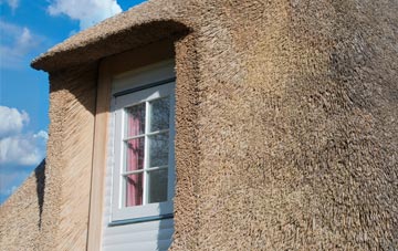 Taddiport thatch roof disadvantages