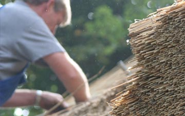 professional Taddiport thatchers