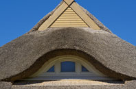 Taddiport thatch roofing